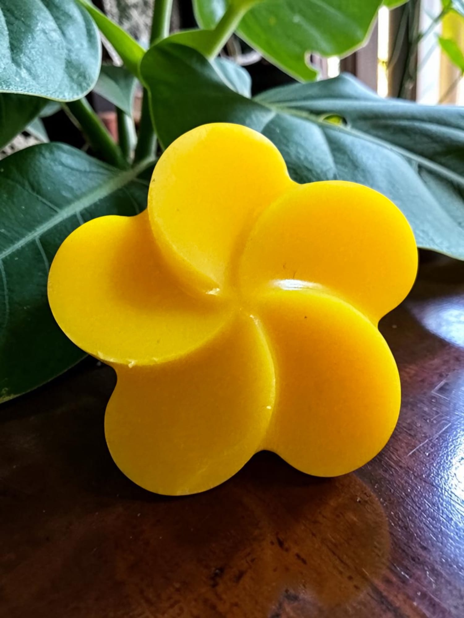 Fondant Citronnelle Geranium idéal pour vous protéger des moustiques