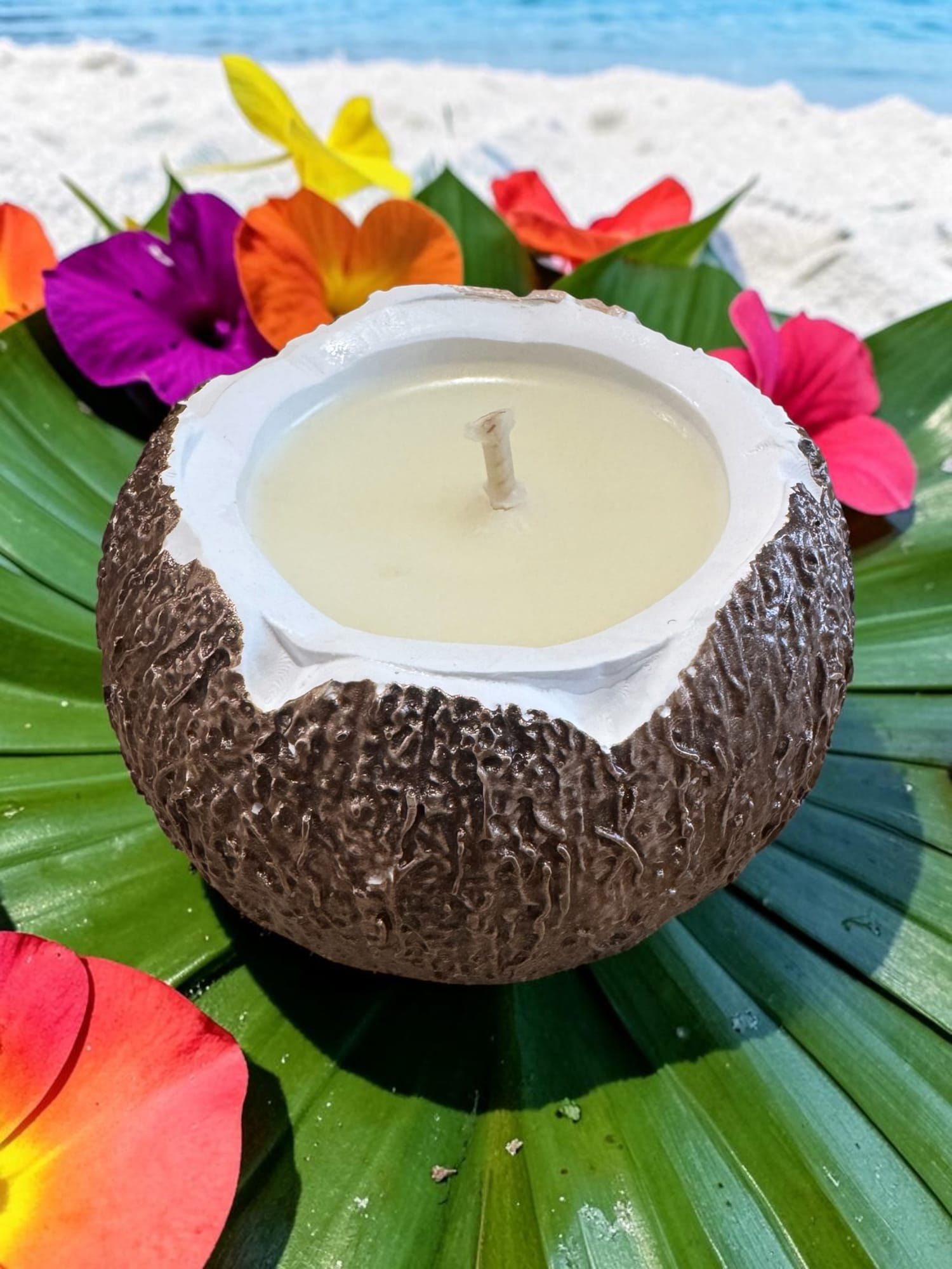 Bougie pot noix de coco parfum aux choix